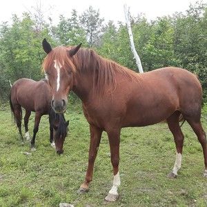 Meet your Posher, Ruth